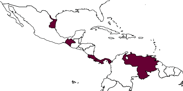 map of Enicospilus sanchezi     Gauld, 1988